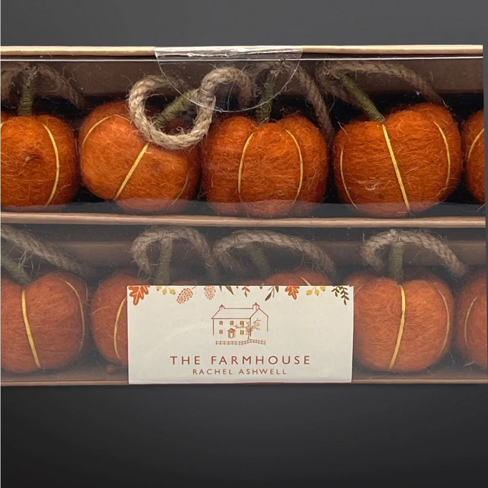 ⚡️FALL DECOR⚡️The Farmhouse Collection Pumpkin Garland By Rachel Ashwell